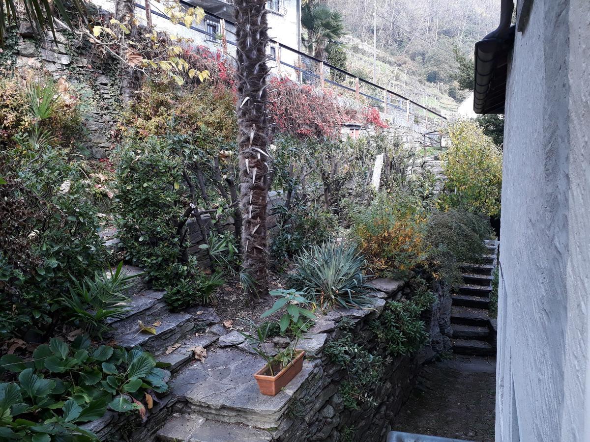 Casa Tita Apartment Intragna TI